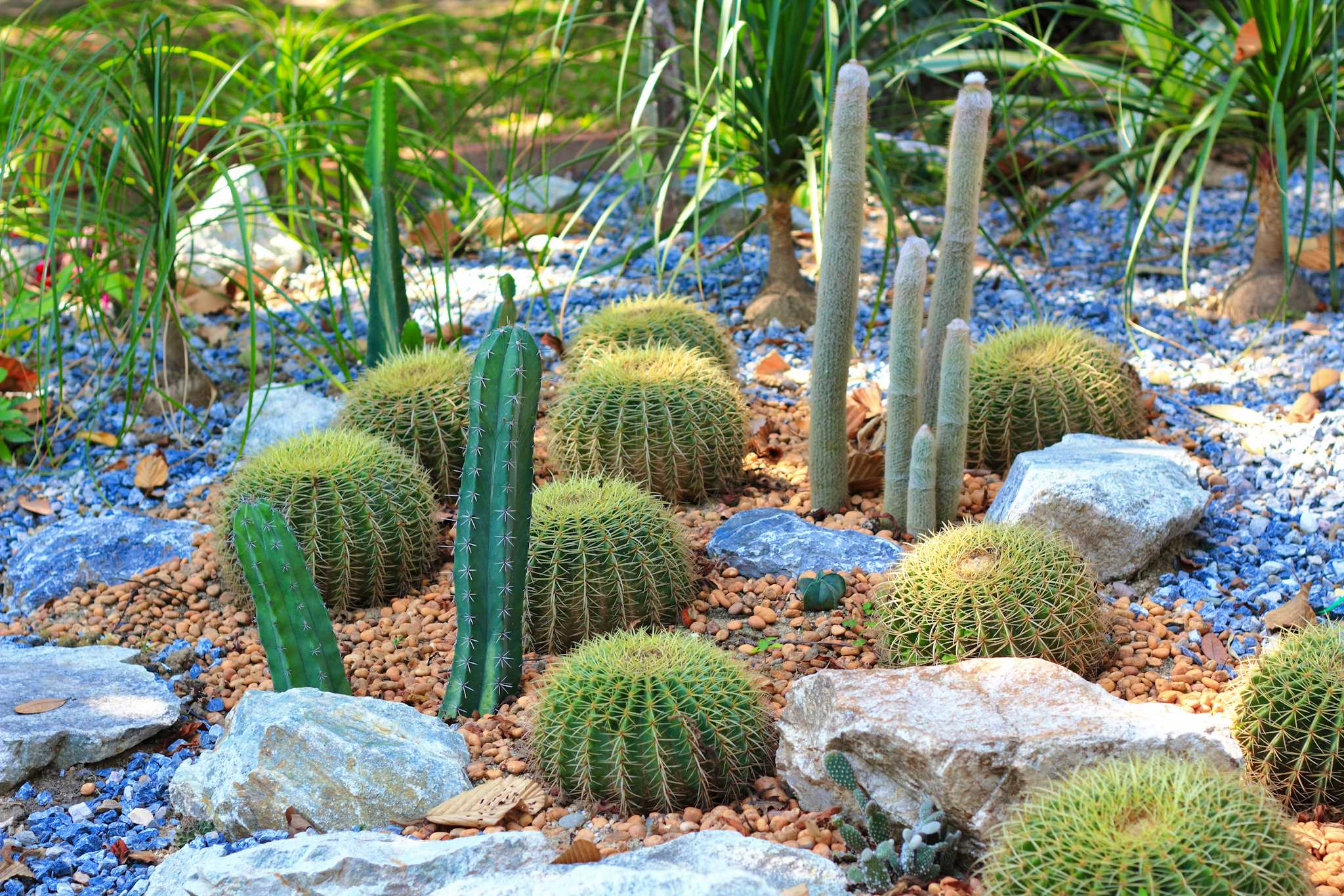 Jardines de Mexico