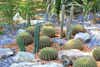 Jardines de Mexico