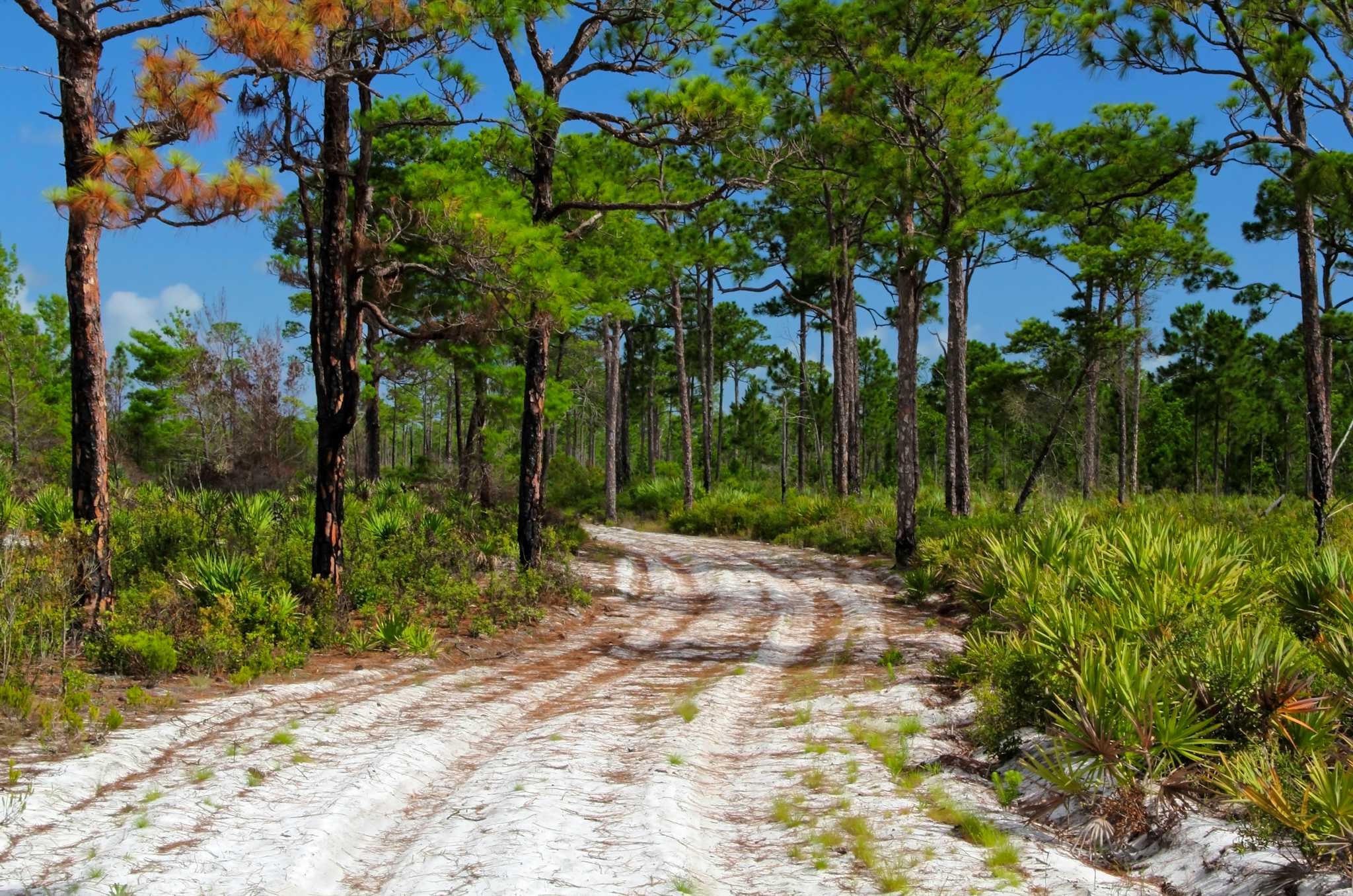 Jonathan Dickinson State Park