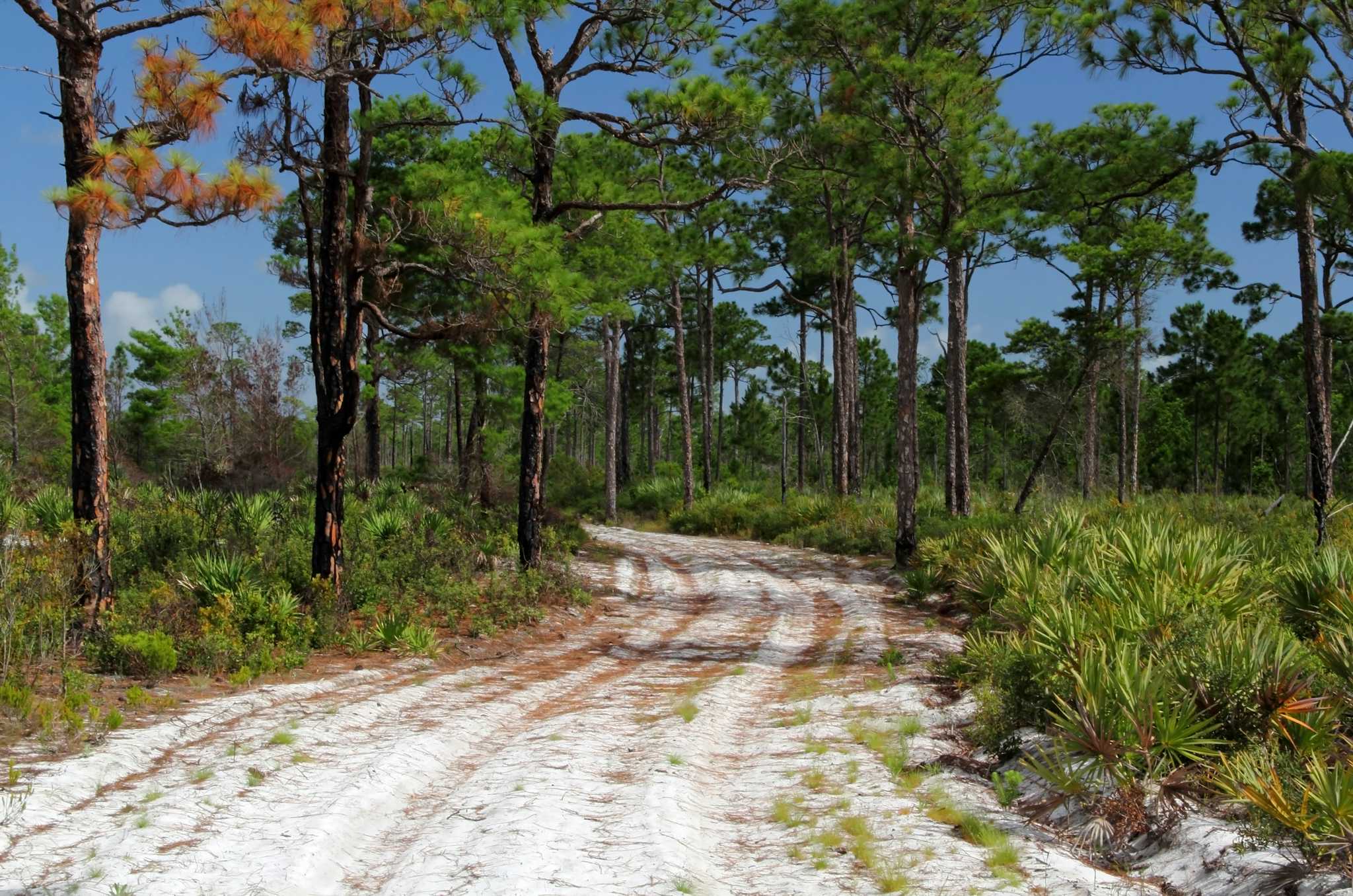 Jonathan Dickinson State Park