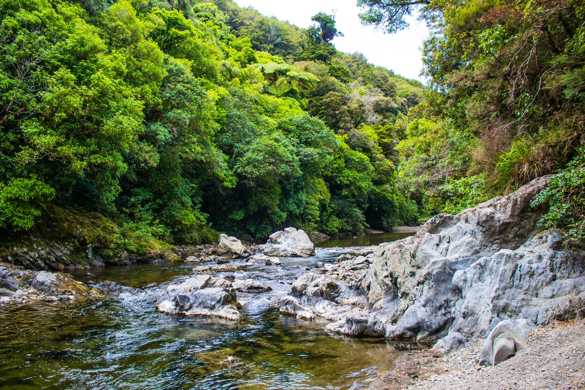 Parque Regional Kaitoke