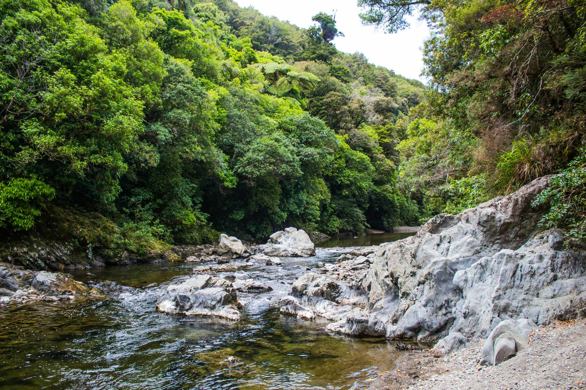 Kaitoke Regional Park