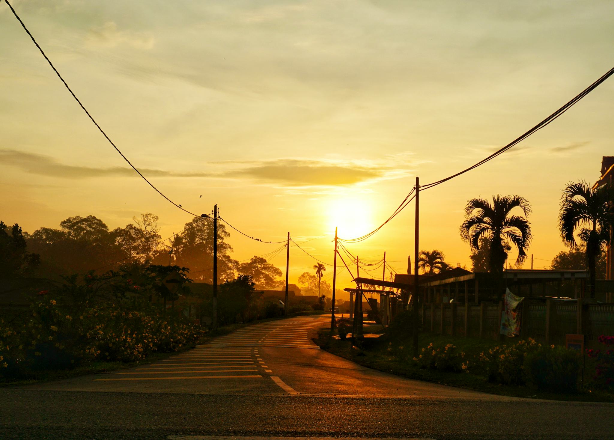 Kampung Raja