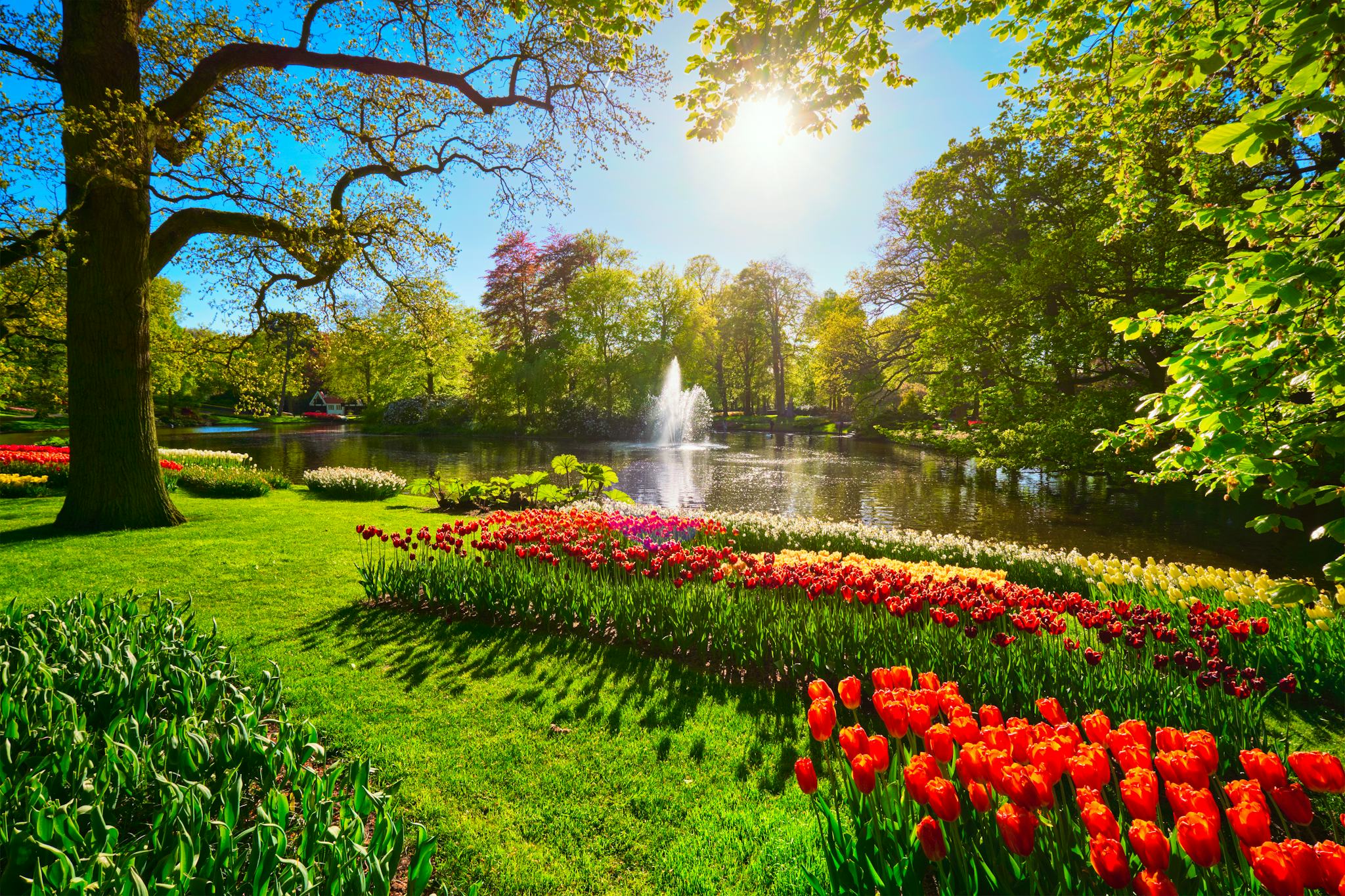 Keukenhof