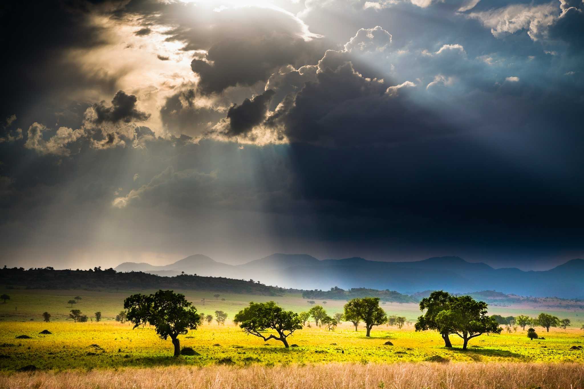 Kidepo Valley National Park