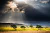 Kidepo Valley National Park