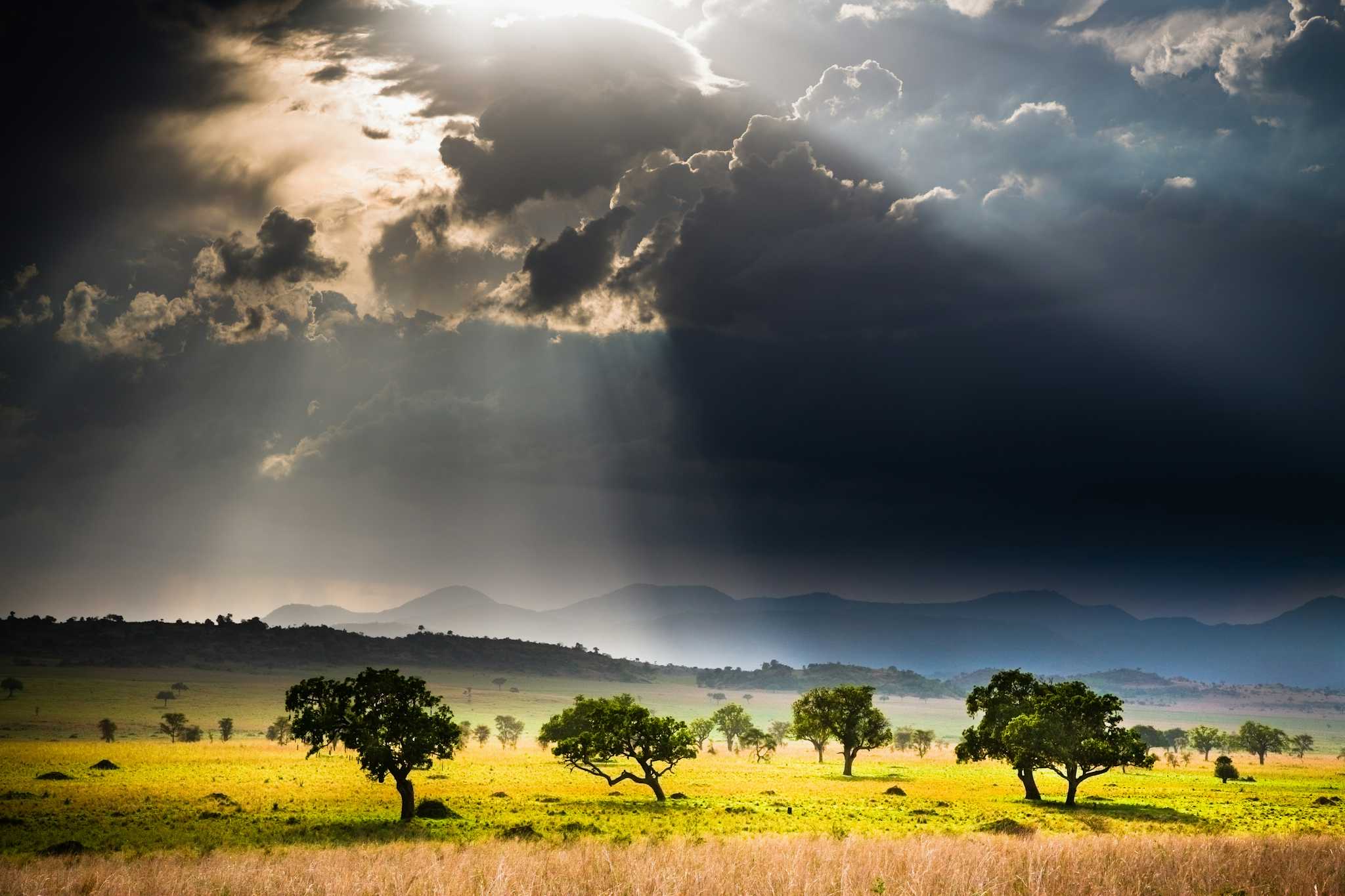 Kidepo Valley National Park