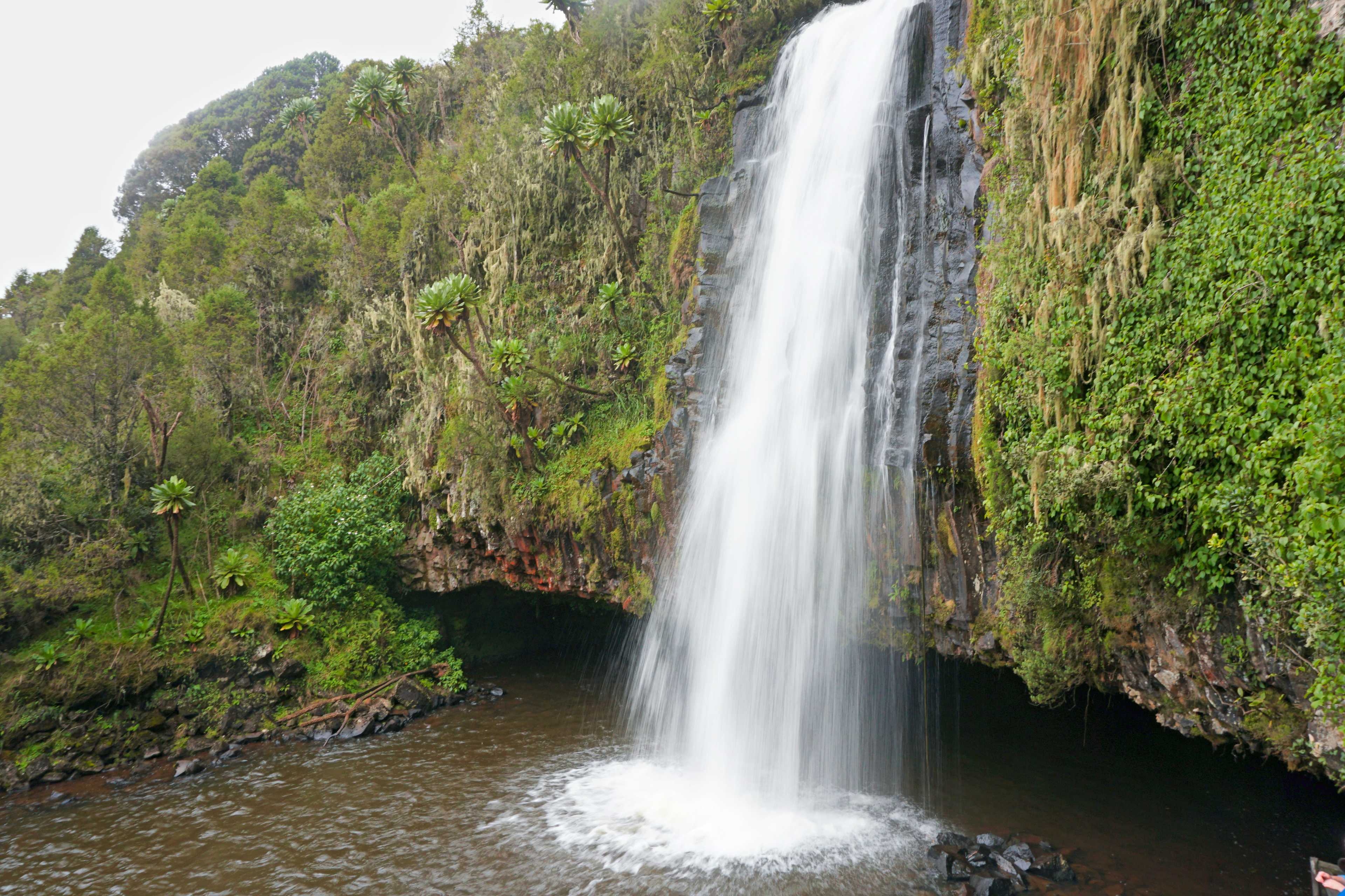 Kilasiya Waterfall