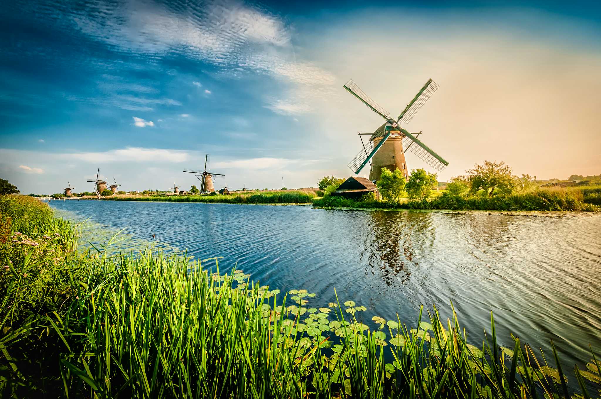 Kinderdijk