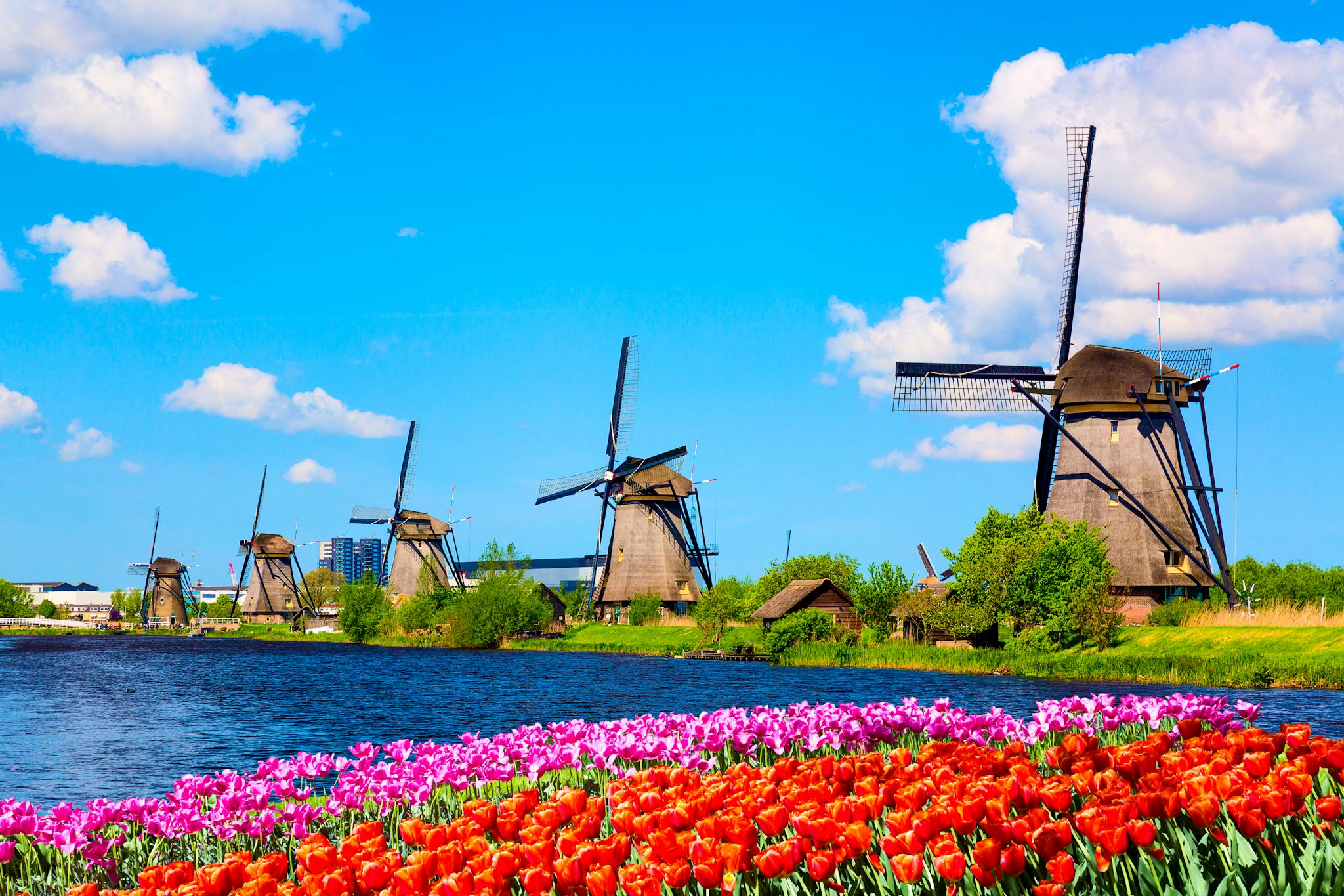 Utrecht to Kinderdijk: Private day trip