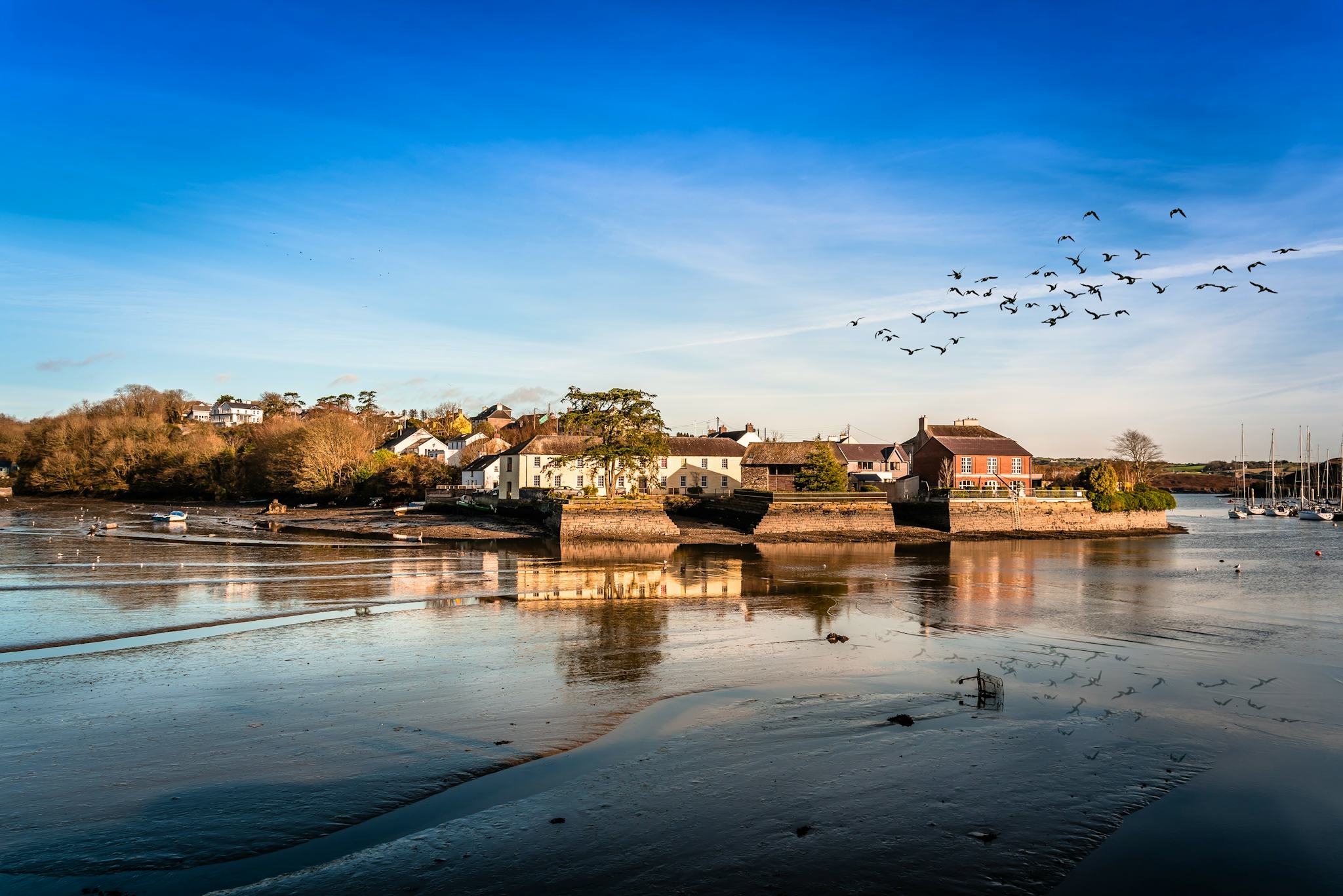 Cork to Kinsale and the Blarney Stone: Private day trip