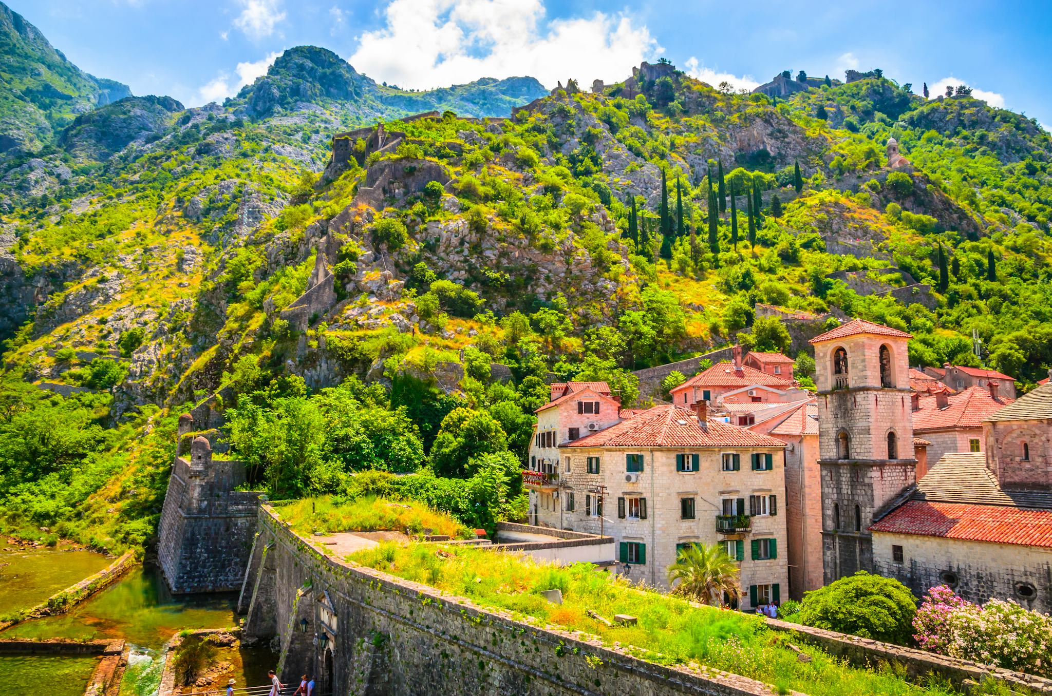 Kotor