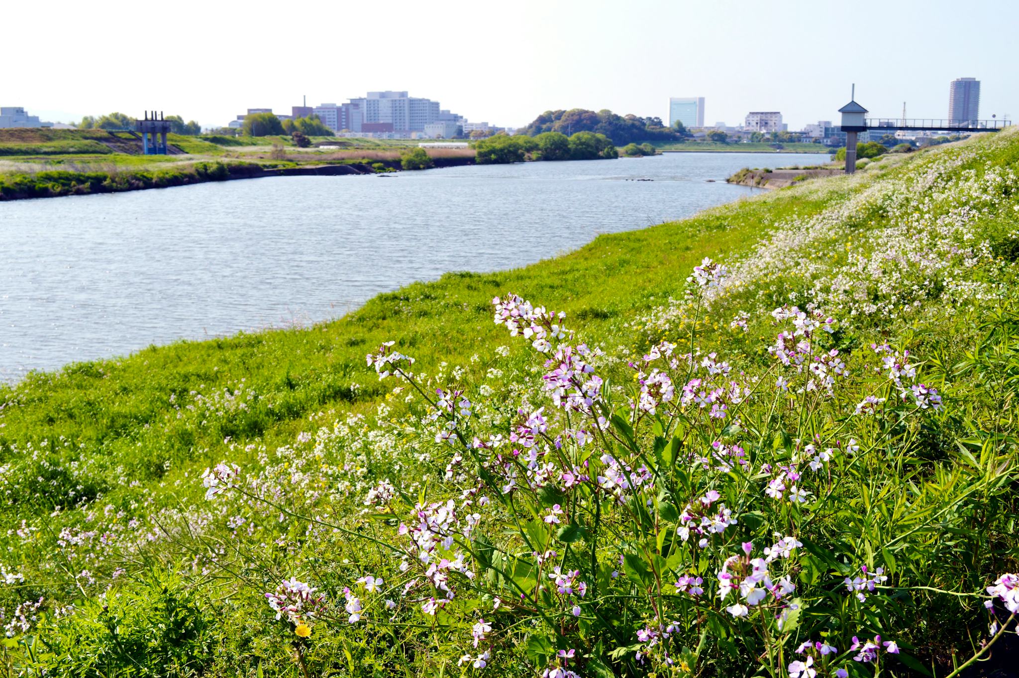 Kurume