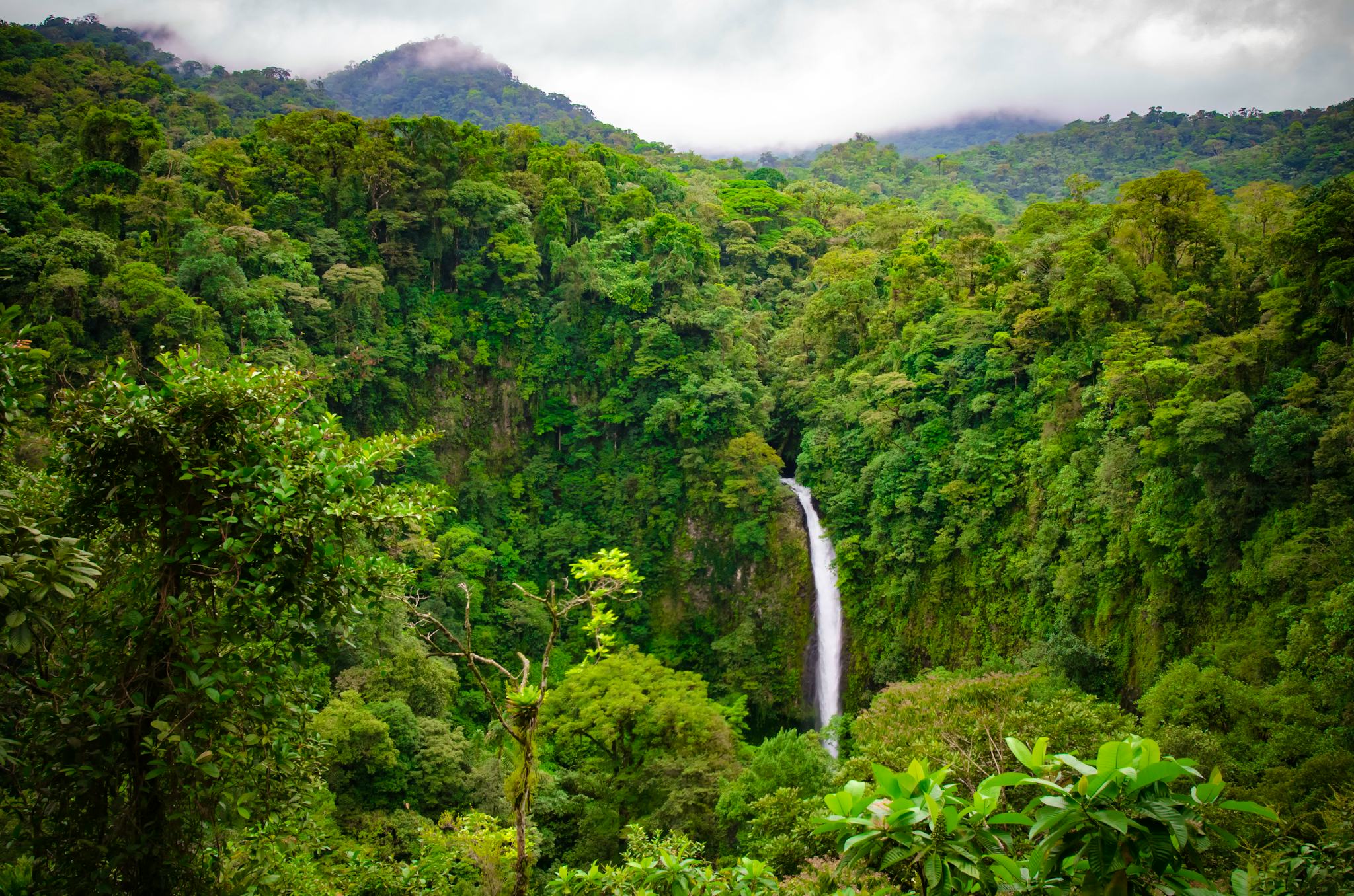 San Jose to La Fortuna Waterfall: private day trip