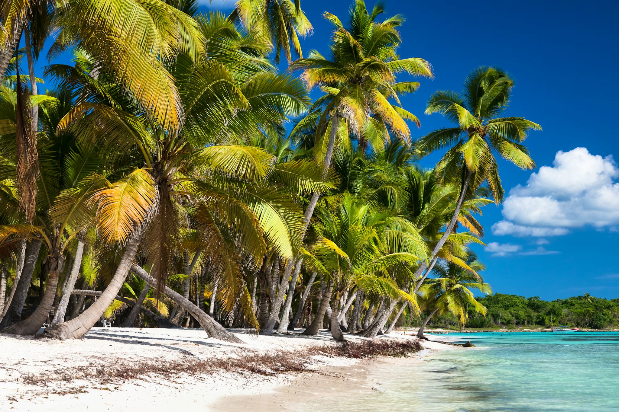 La Romana