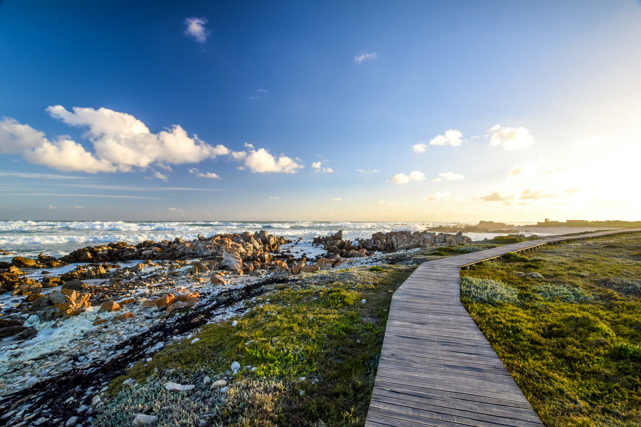Cape Town to Cape Agulhas: Private day trip