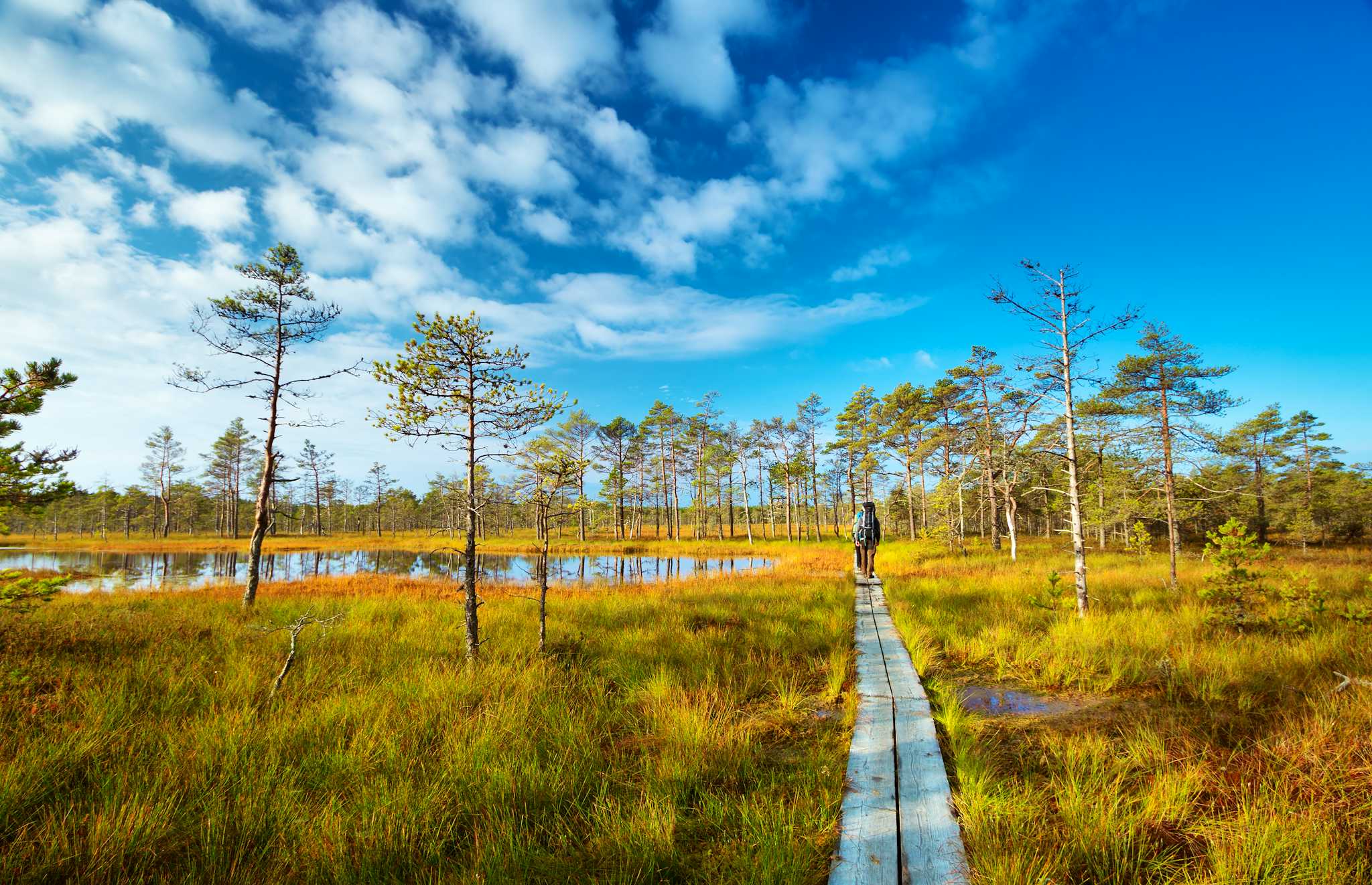 Lahemaa National Park