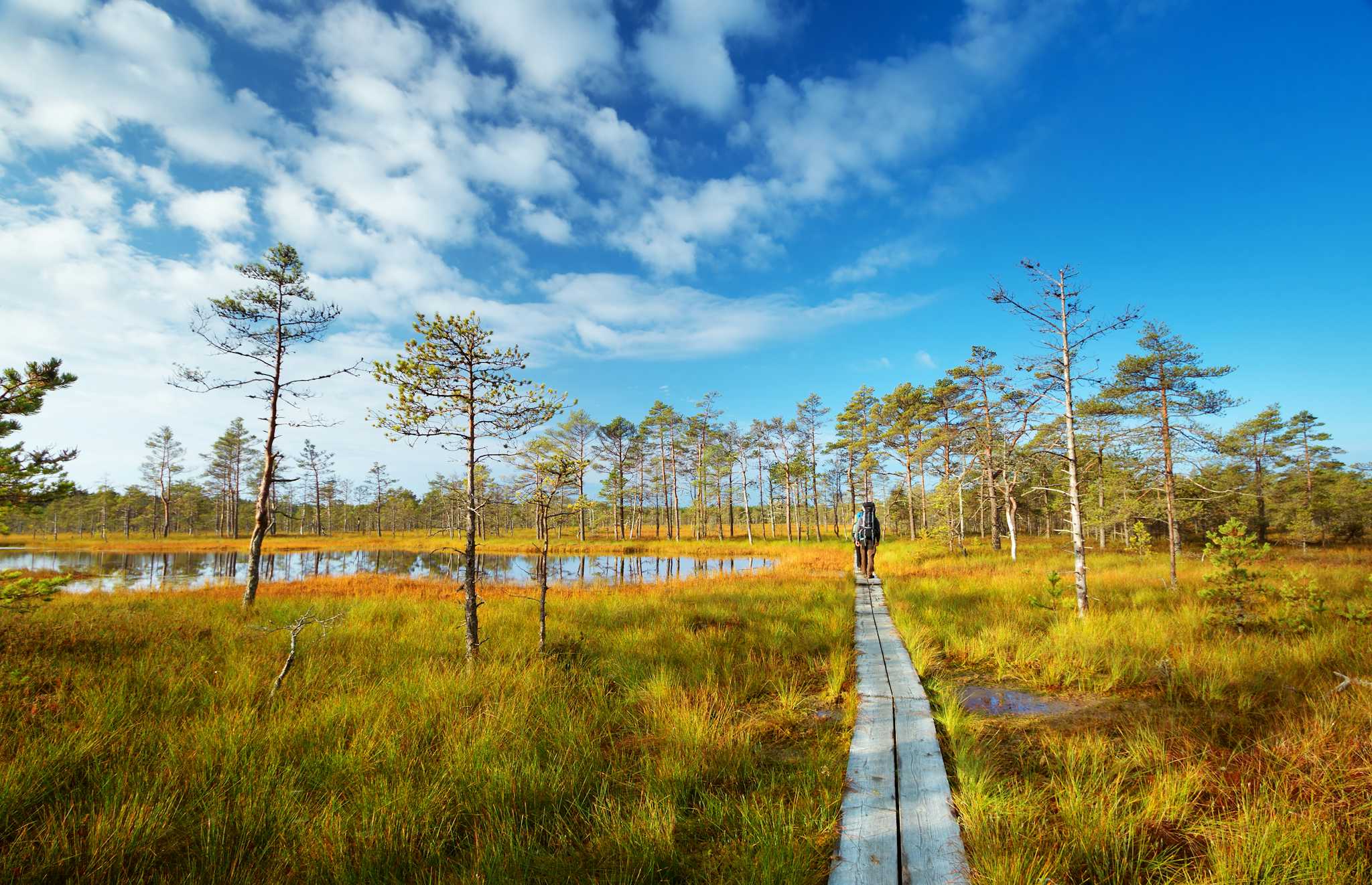 Lahemaa National Park