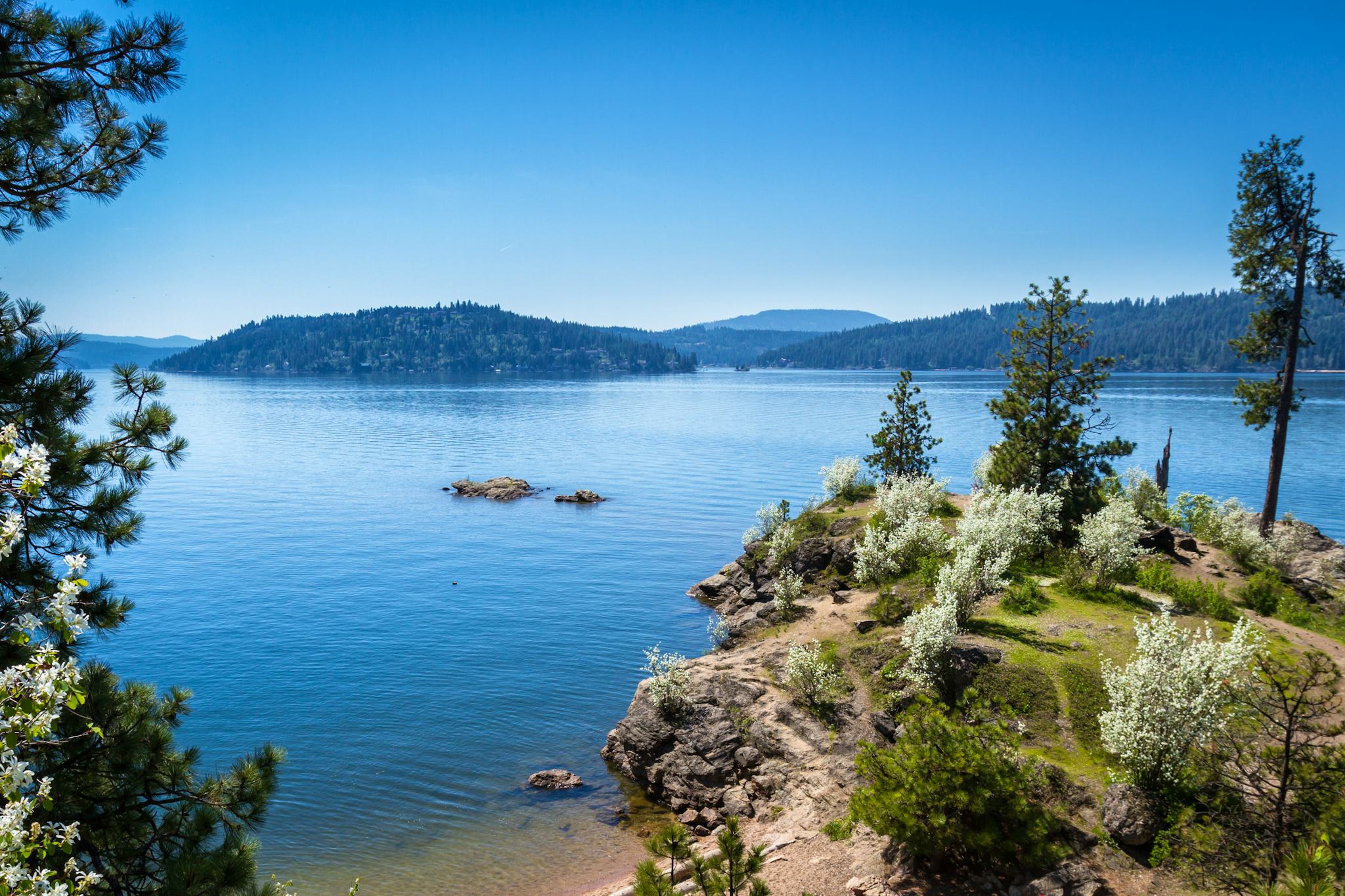 Lago Coeur d'Alene