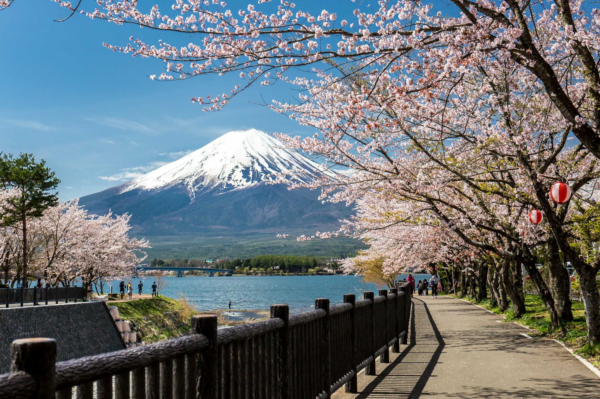 Lake Kawaguchi