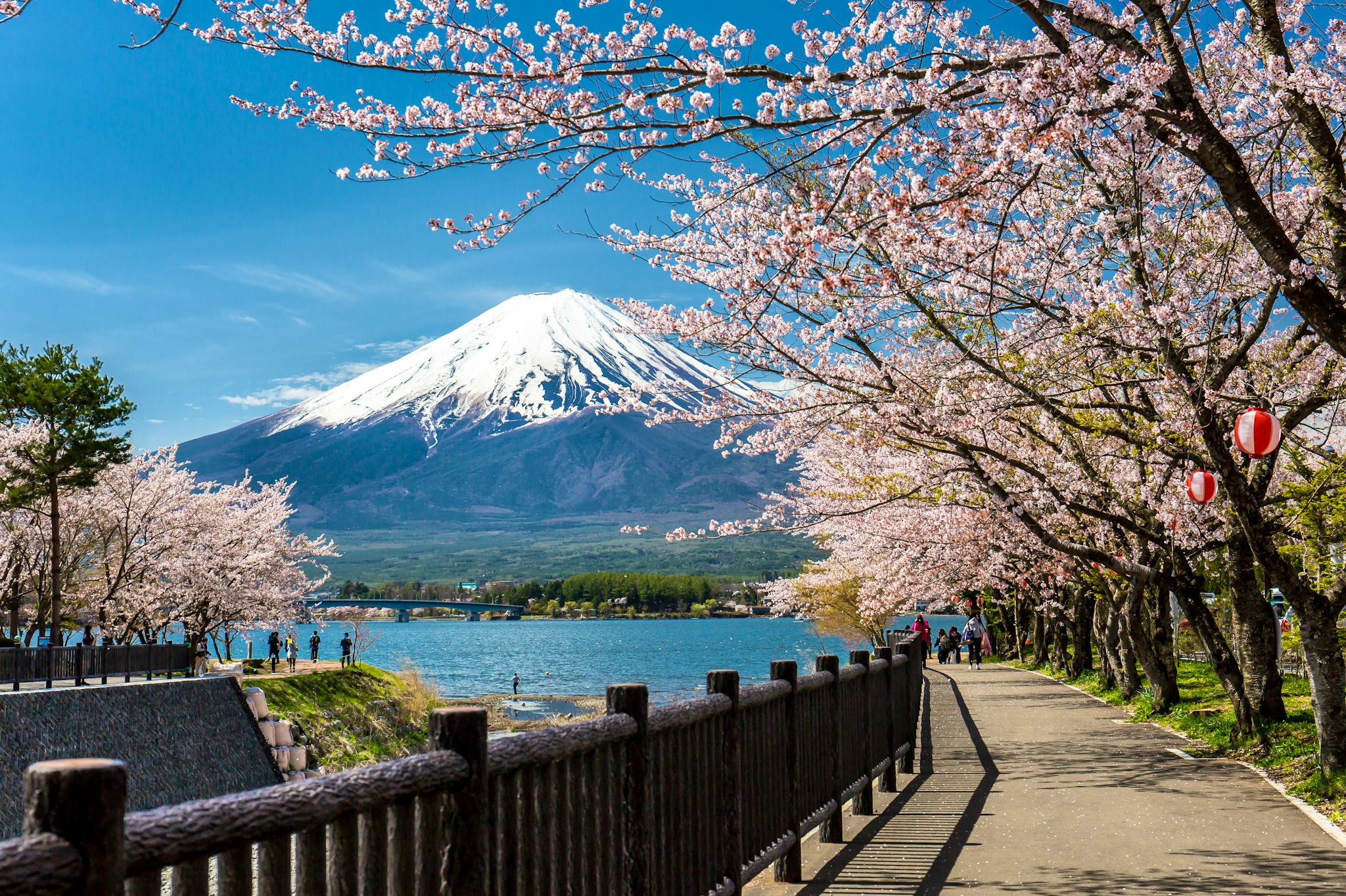 Lake Kawaguchi