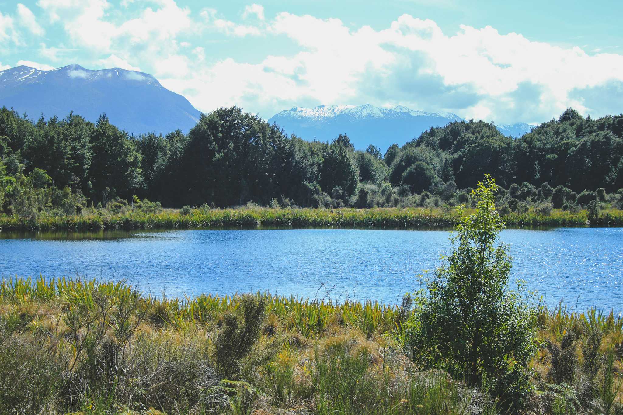 Lake Mistletoe