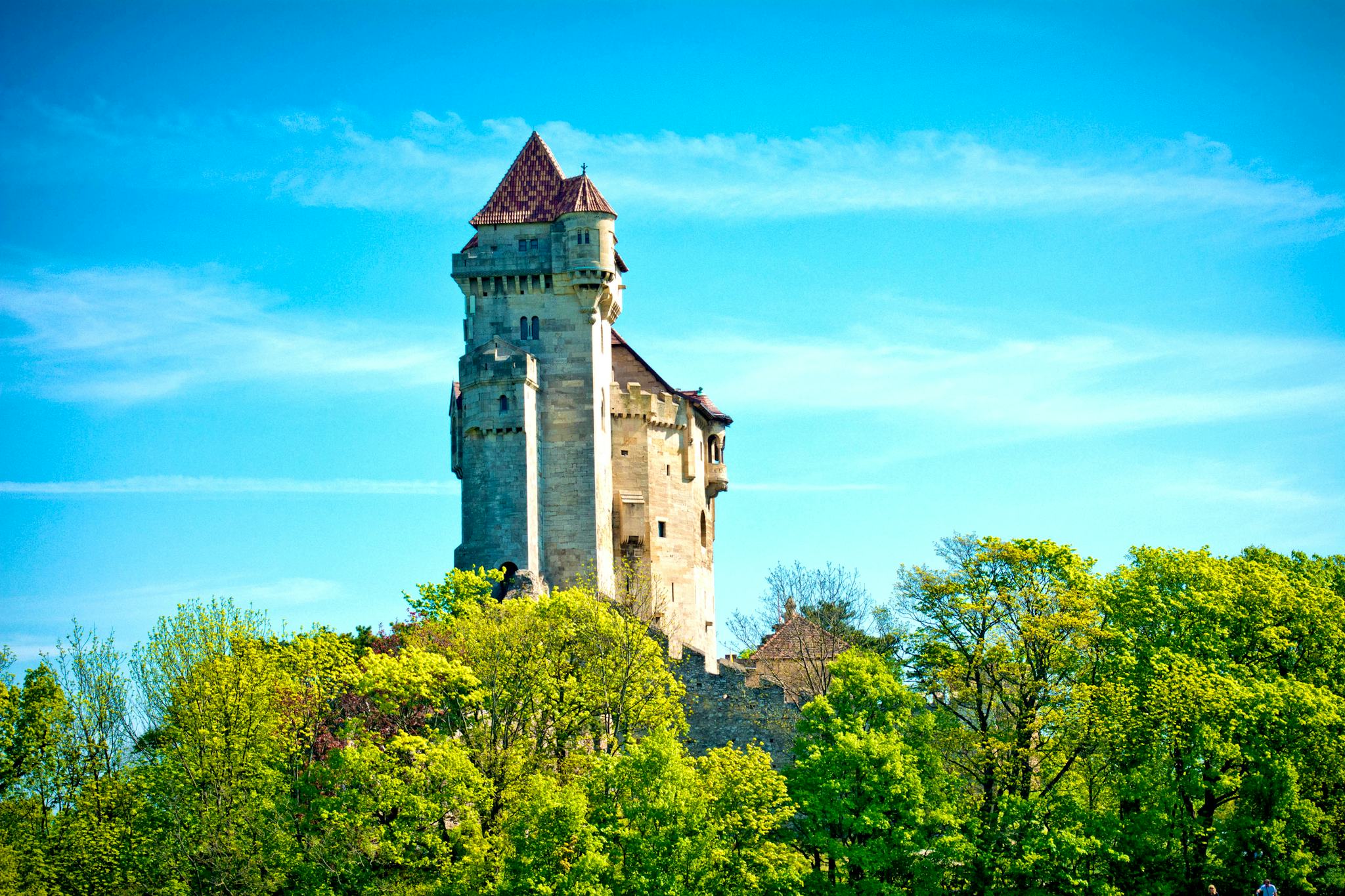 Liechtenstein castle