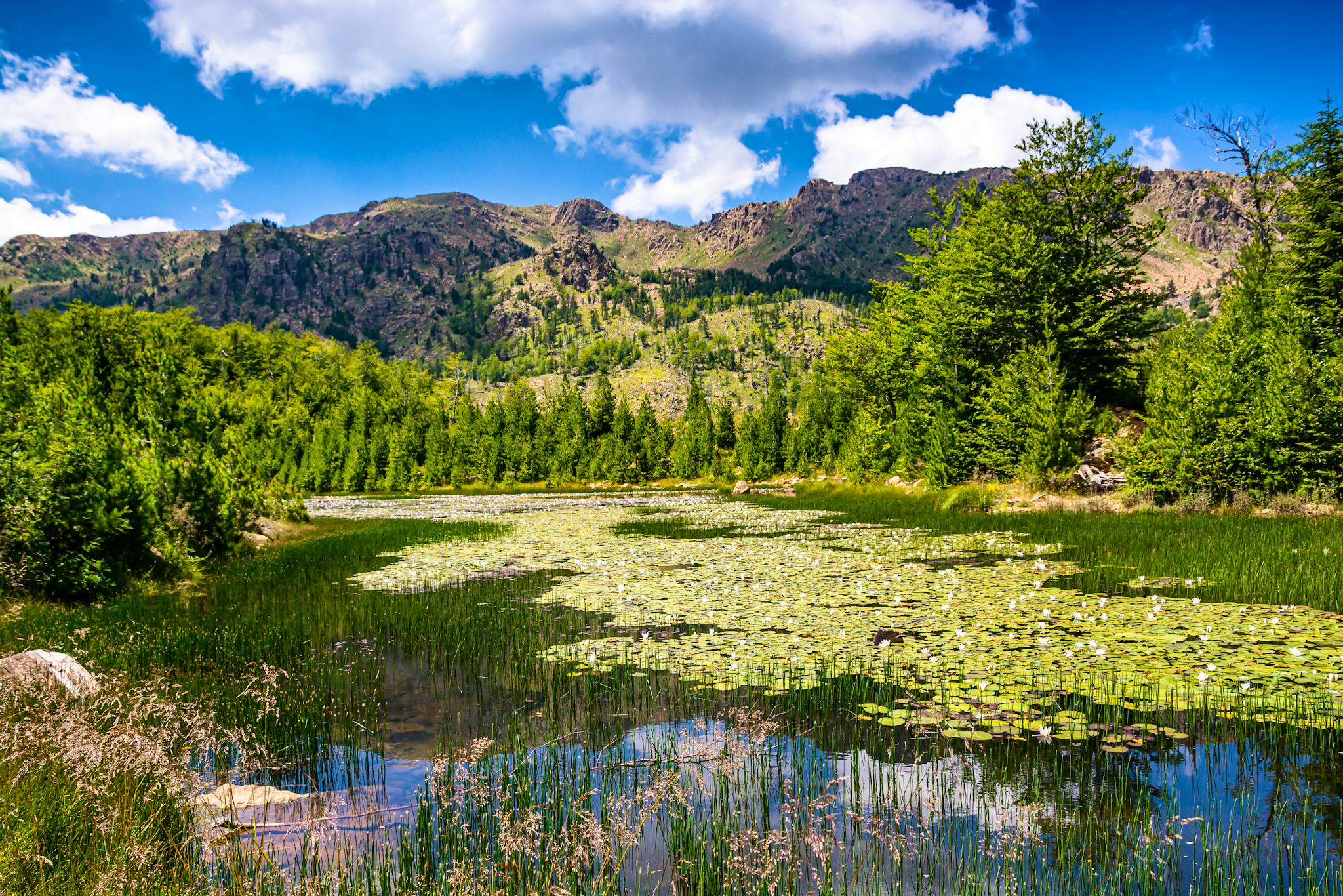 Lura National Park