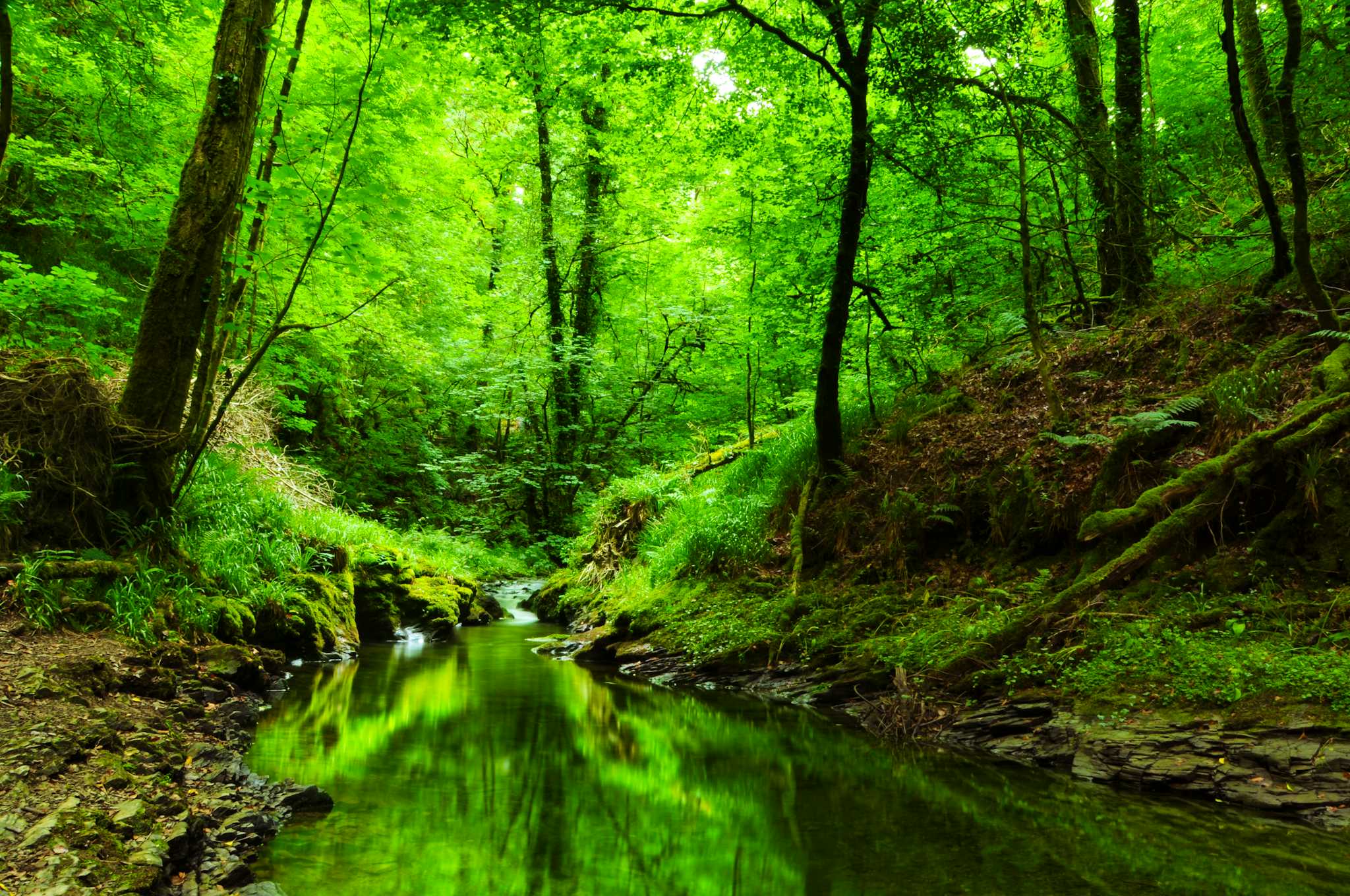 Lydford Gorge