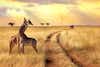 Maasai Mara National Reserve