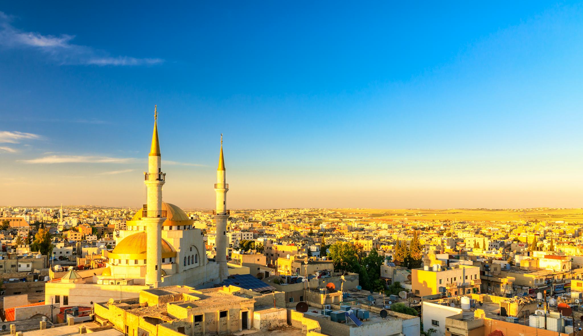 Amman to Madaba and Mount Nebo: Private day trip