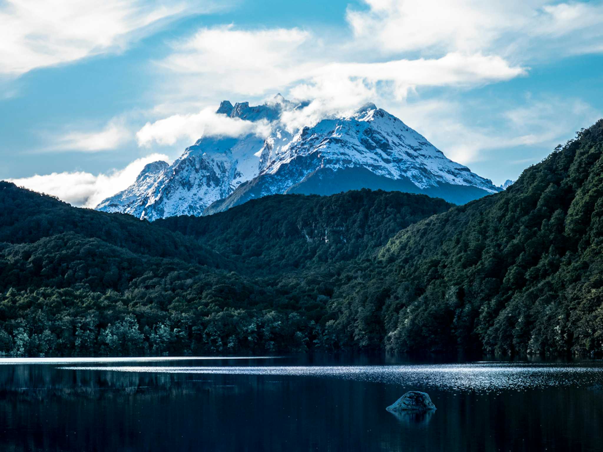 Makarora Bush Nature Walk