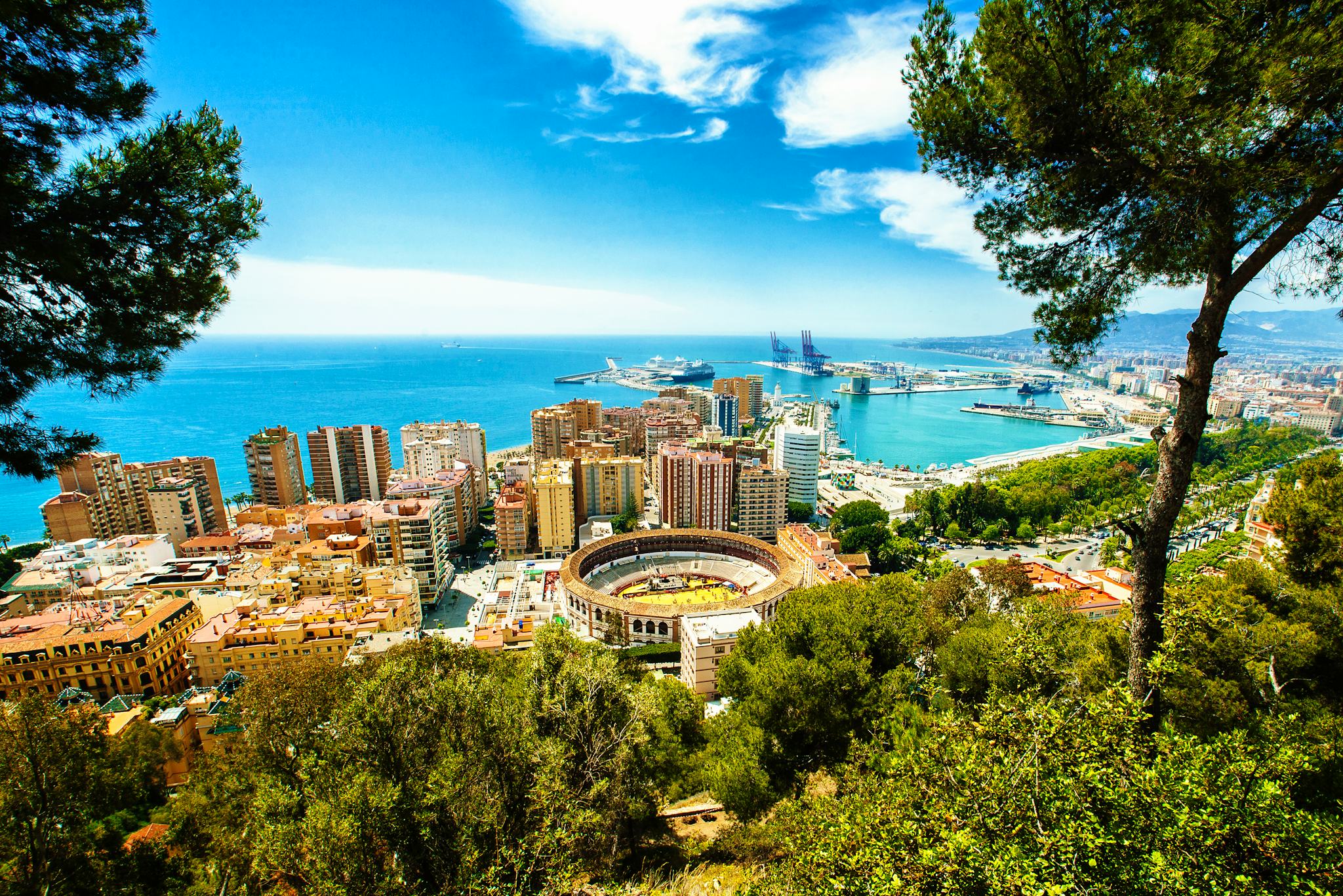 Motril to Malaga: Private day trip