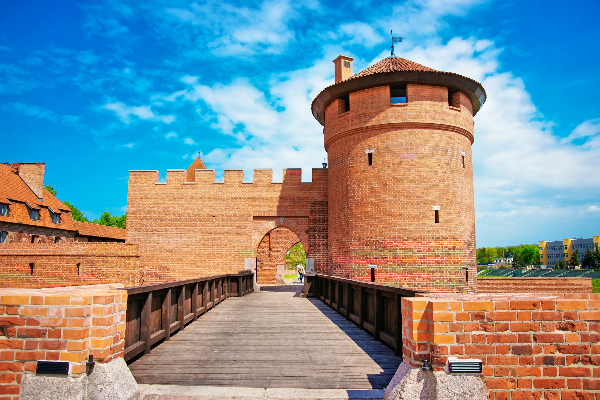 Warsaw to Torun and Malbork: Private day trip