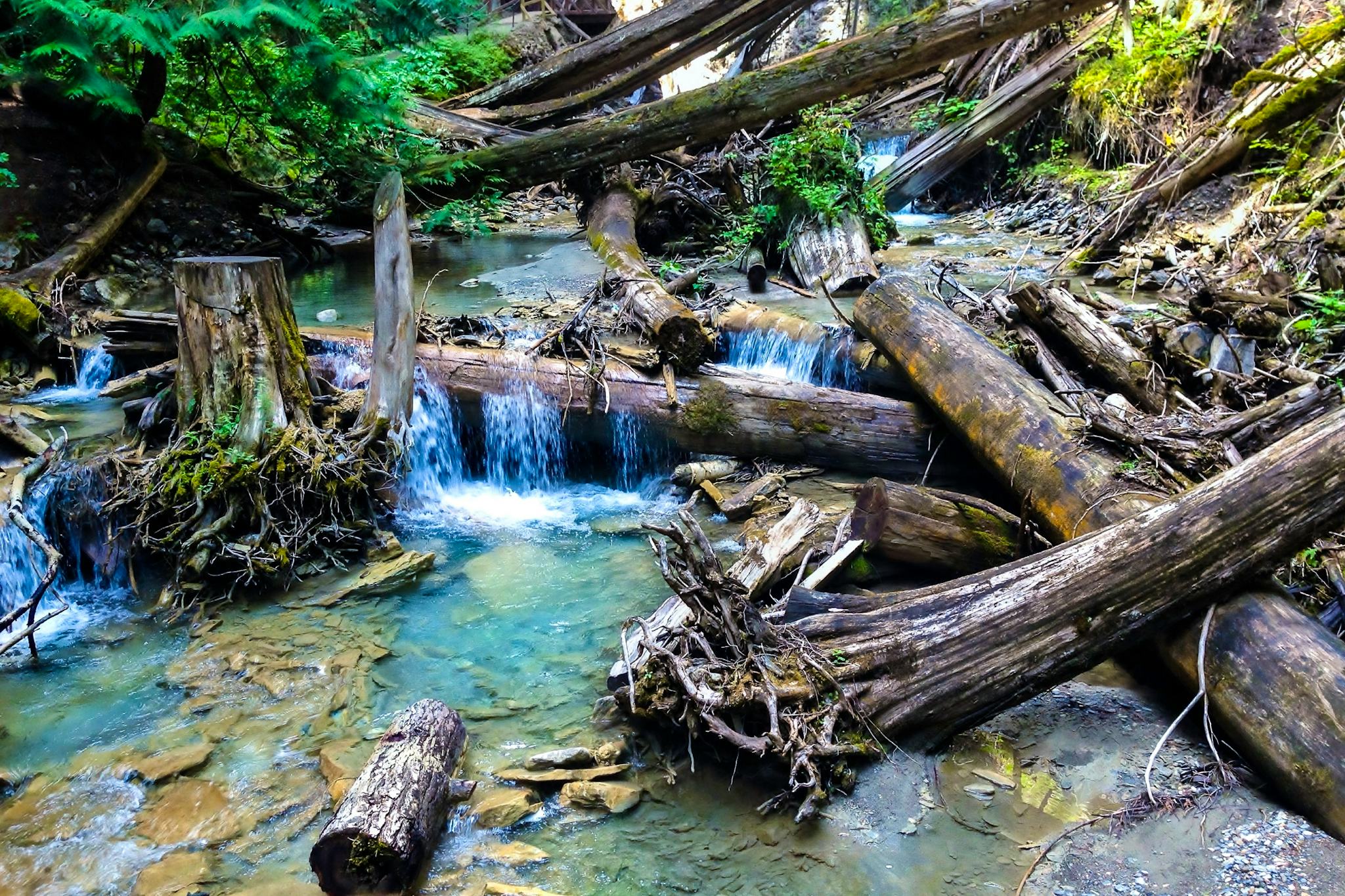 Margaret Falls