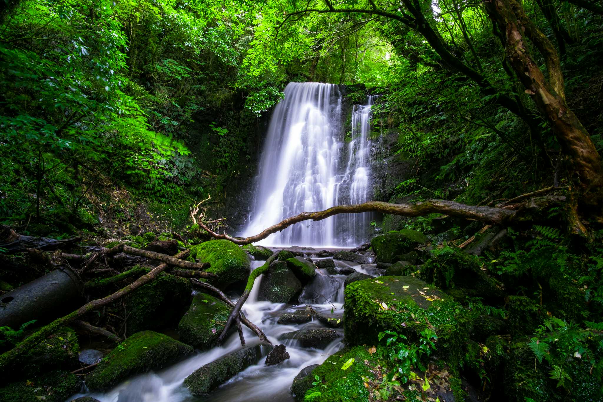 Matai Falls