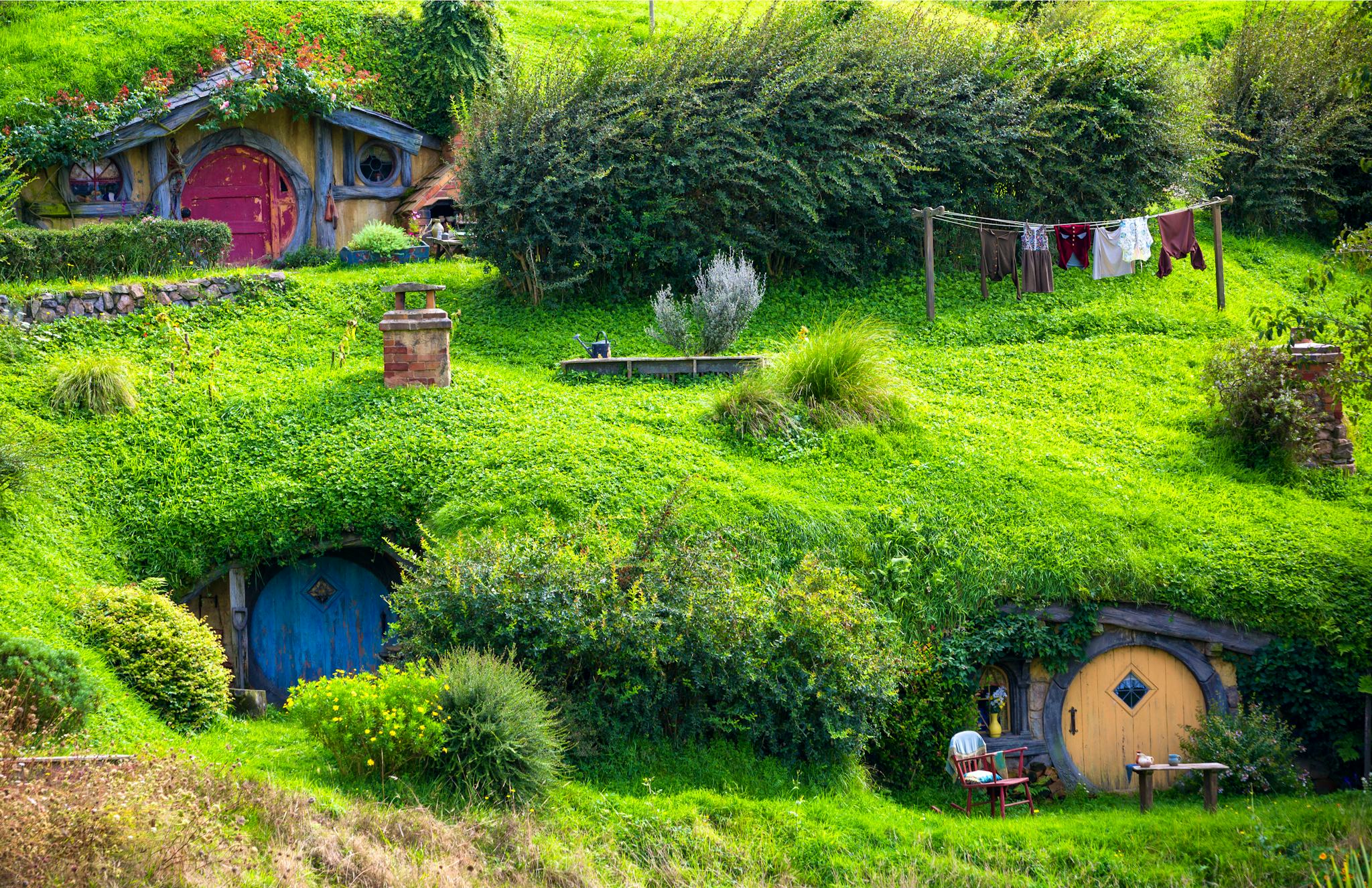 Auckland to Matamata and Volcanic Hills: Private day trip