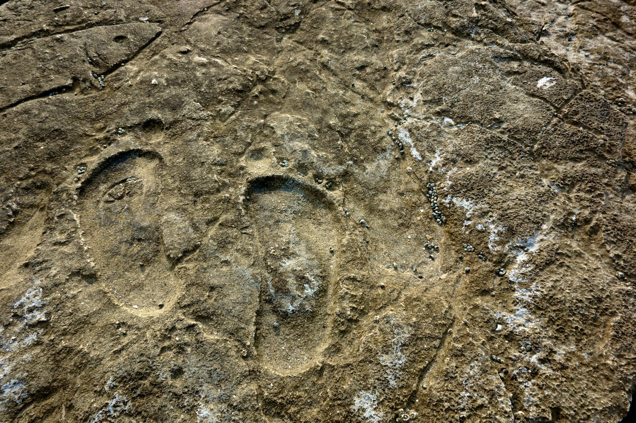 Matsieng Footprints