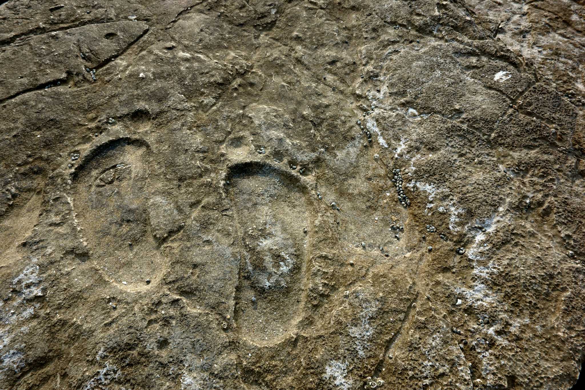 Matsieng Footprints