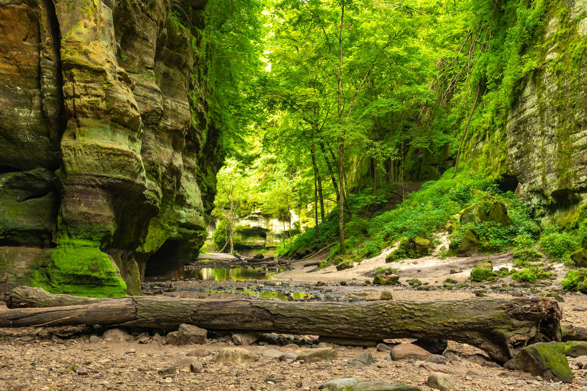 Matthiessen State Park