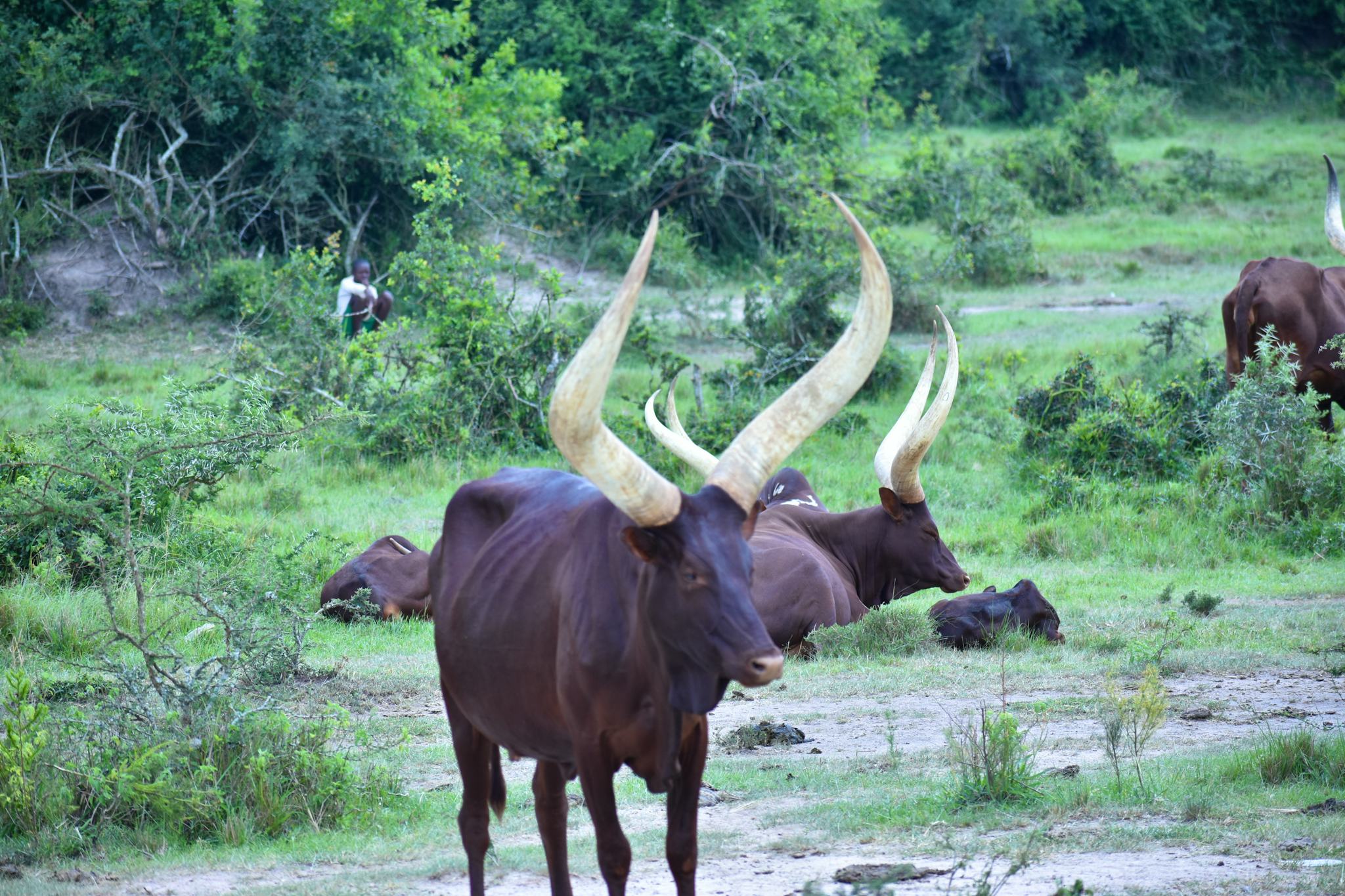 Mbarara