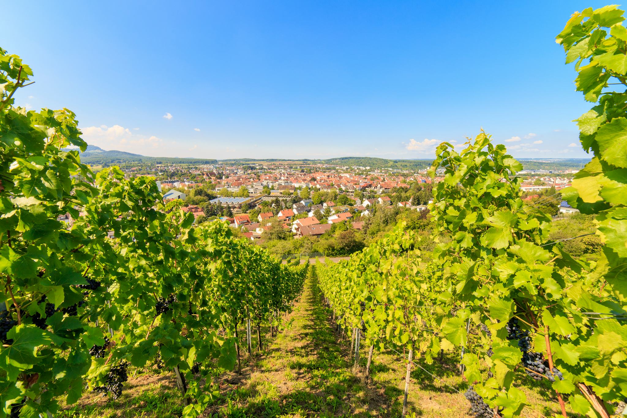 Metzingen