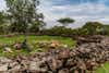 Migori