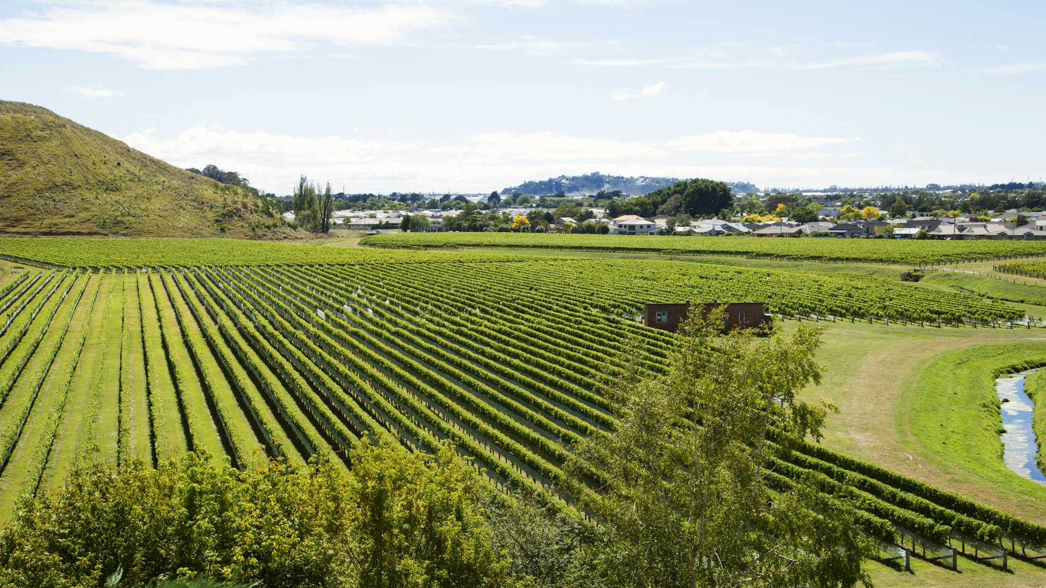 Bodega Mission Estate