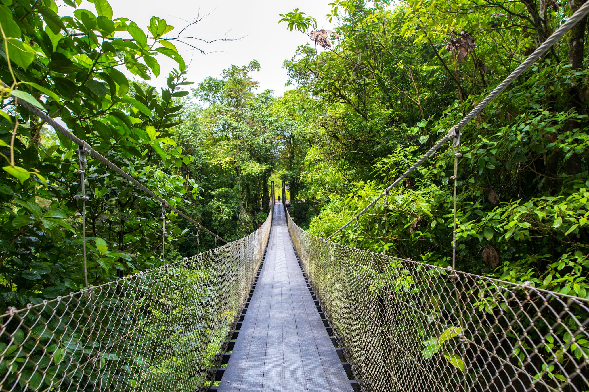 Parque de Puentes Colgantes Mistico Arenal