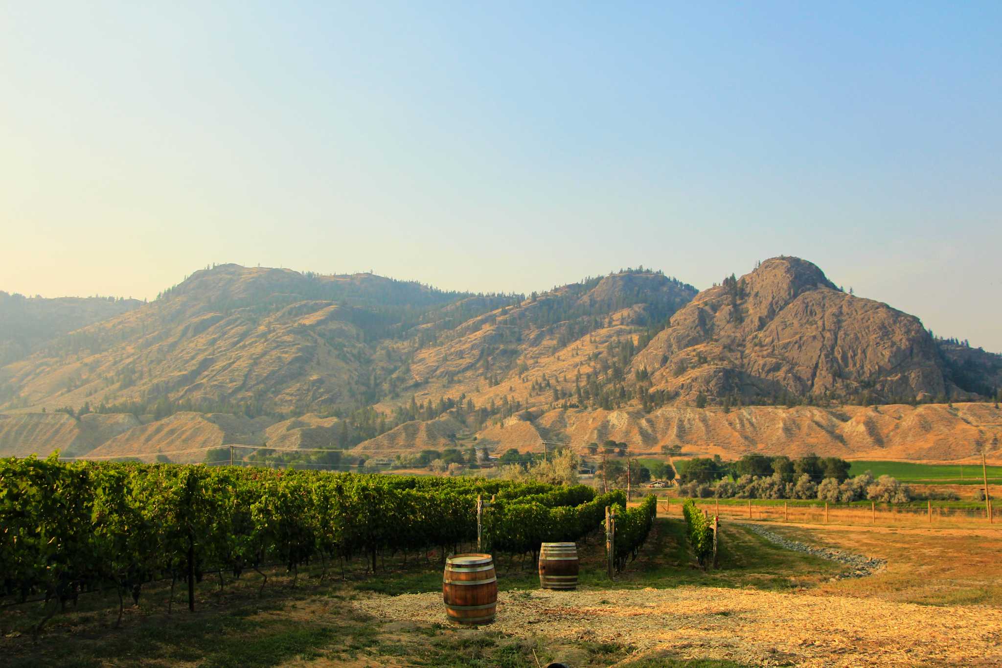 Monte Creek Ranch Winery