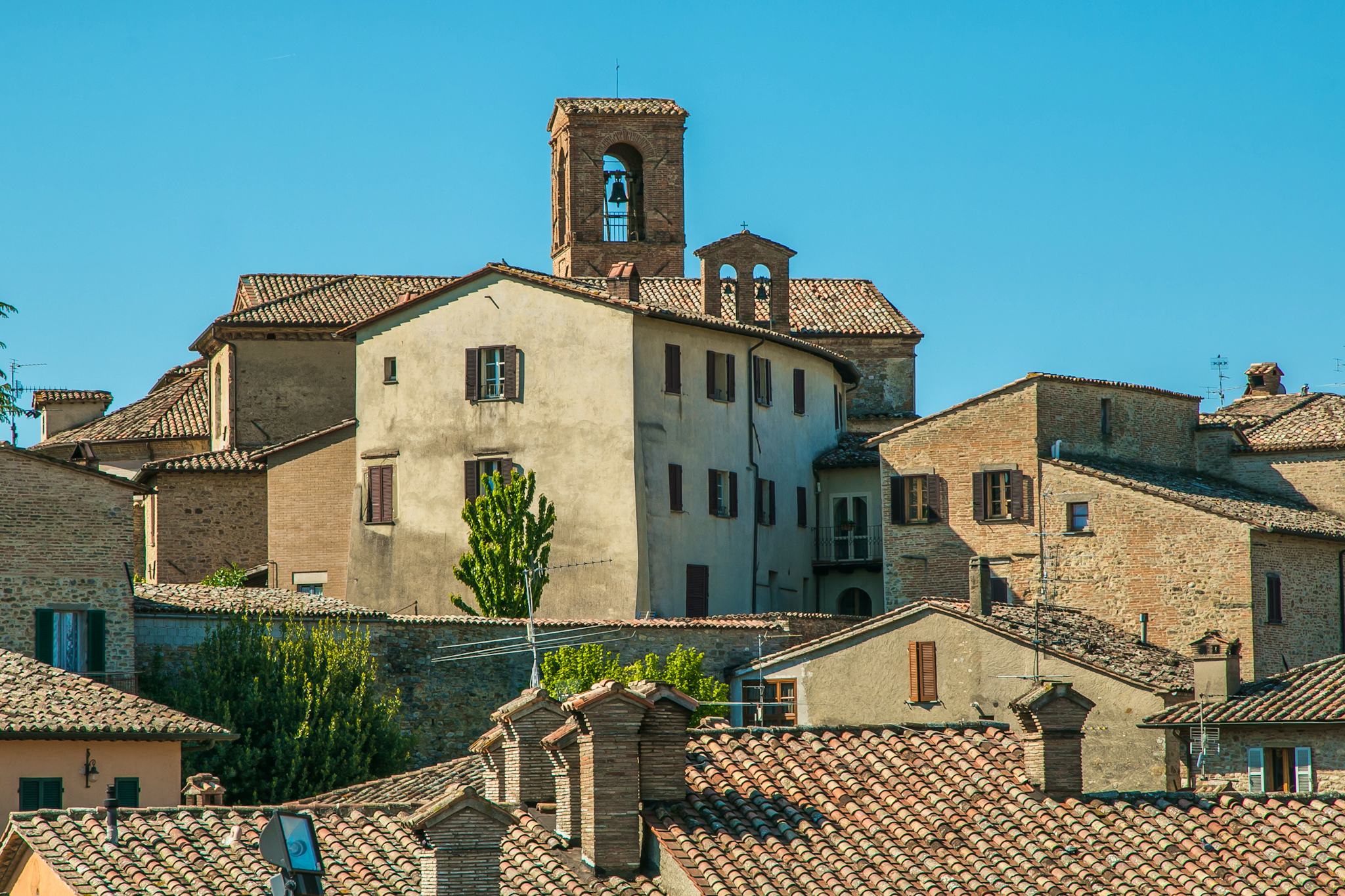 Montone