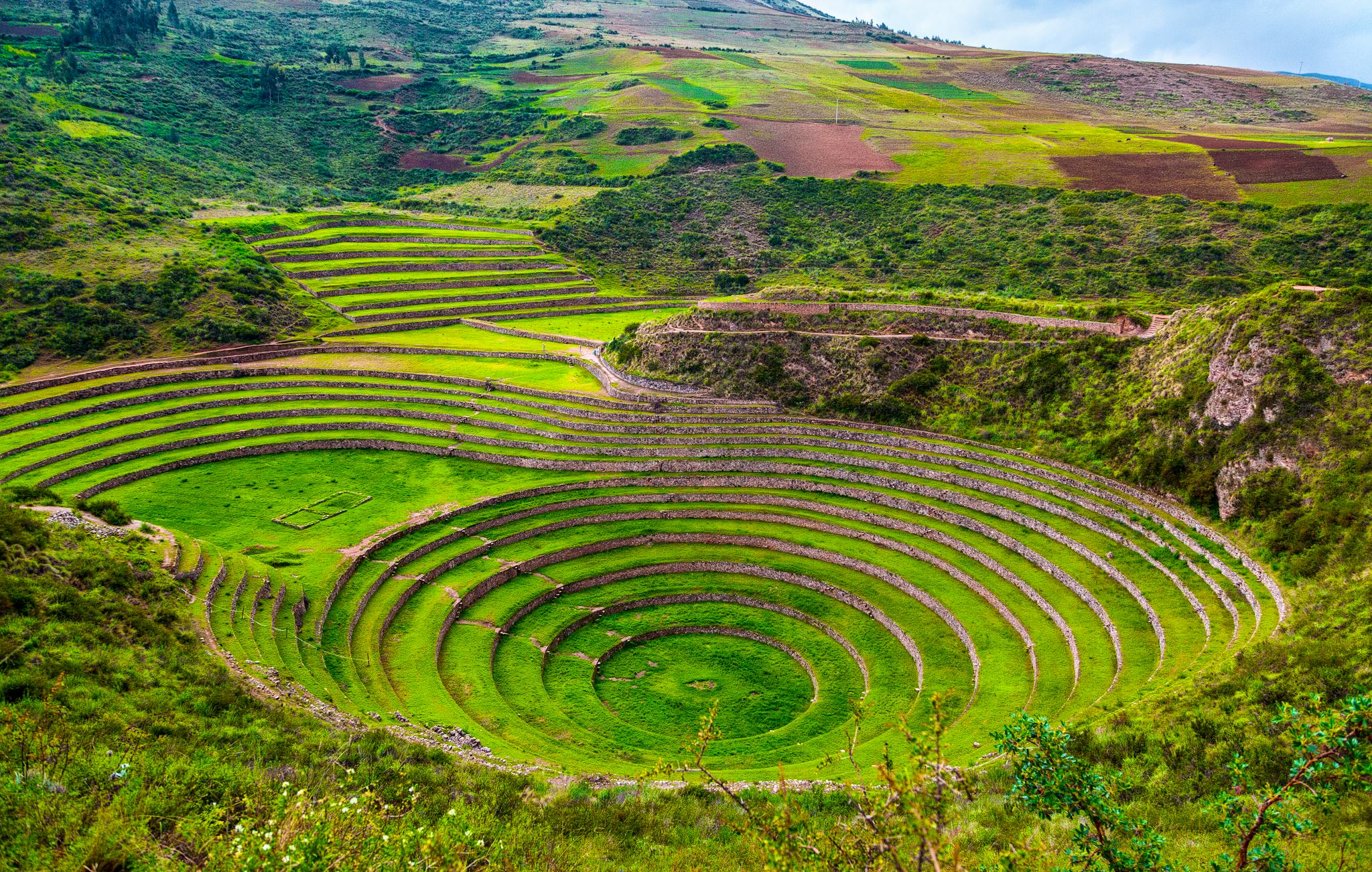 Moray