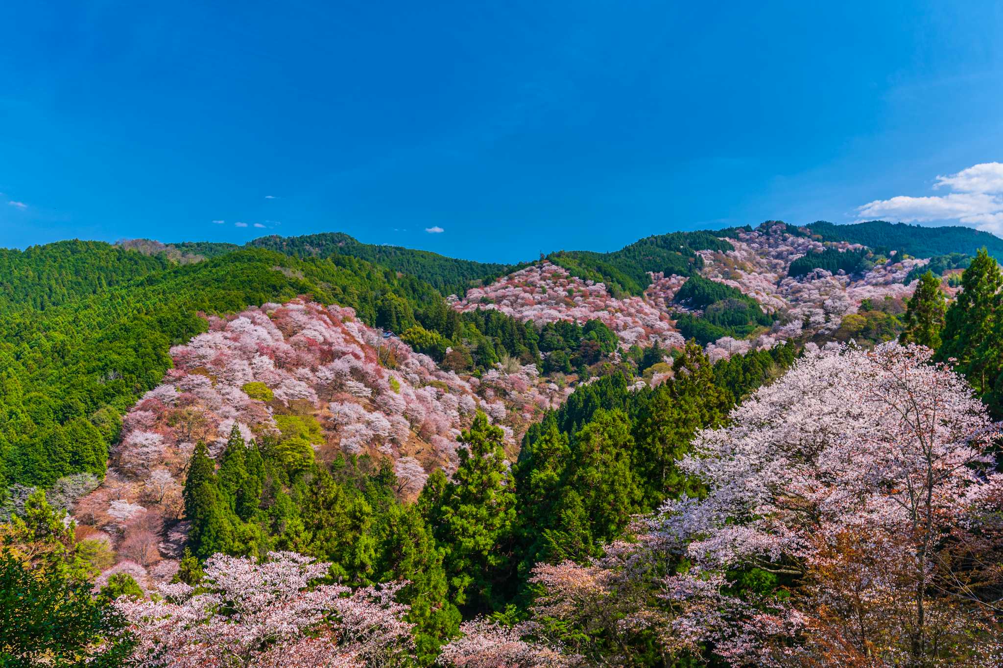 Mount Yoshino