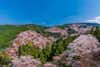 Mount Yoshino